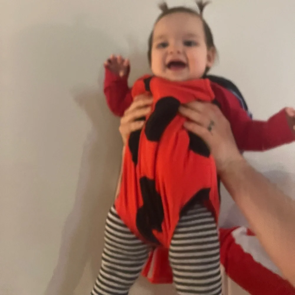 Carter’s Ladybug Costume - Picture 2 of 4